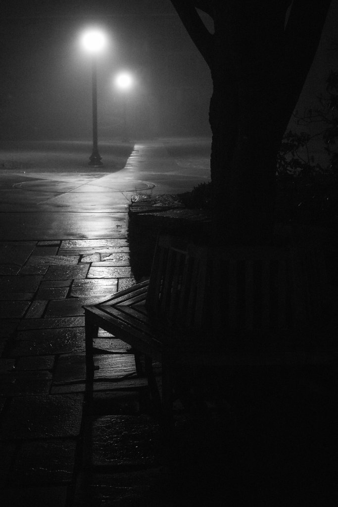 Benton Courtyard Bench