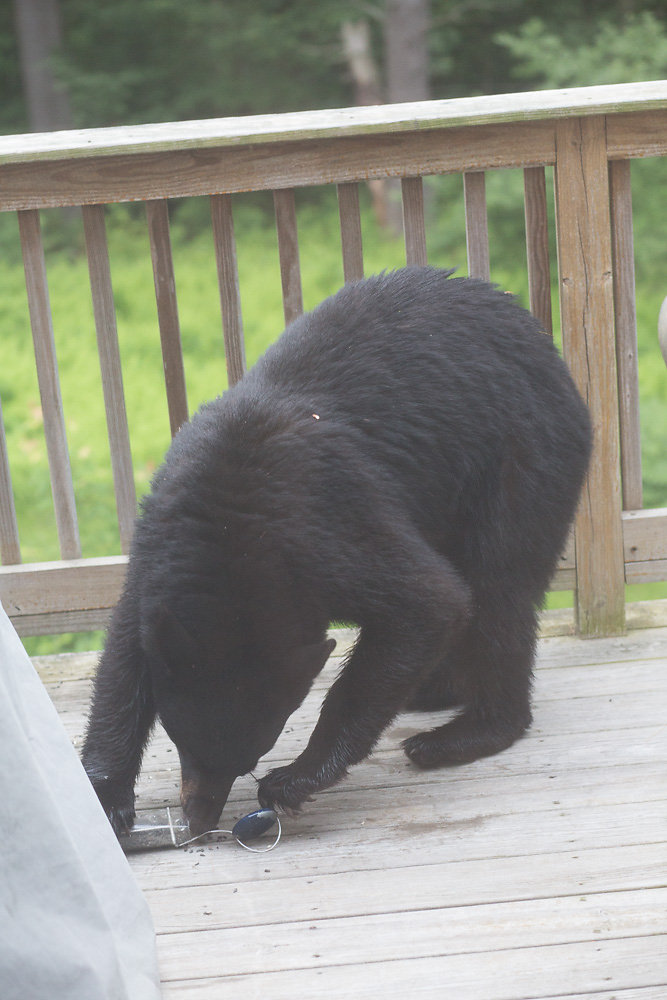 MJB-20150618-3976-20631-PM.jpg
