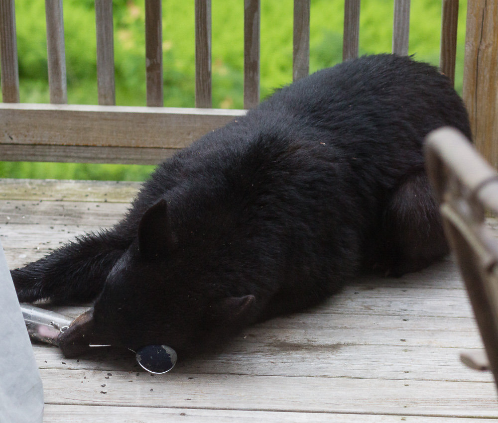 MJB-20150618-3980-20631-PM.jpg